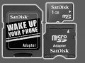 image Sandisk Carte SD Micro 1Go Transcend