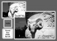 image Cokin filtre P154 Gris Neutre ND8