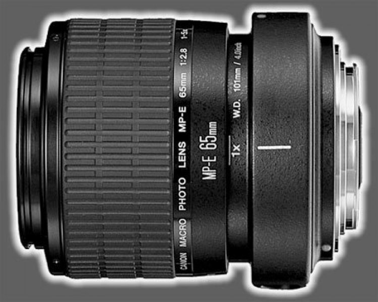 image Canon 65 MP-E 65 mm f/ 2.8 1-5x Macro Photo